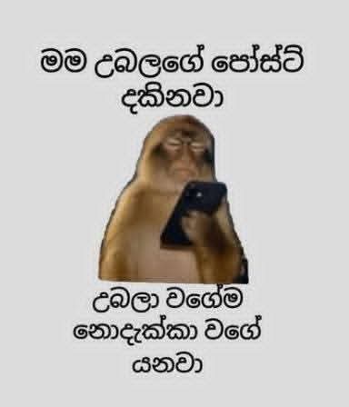 @🇱🇰꧁꧂මාලිඇතුගල්පුර🙏᭄𝄡ᬊᬁ🇴🇲