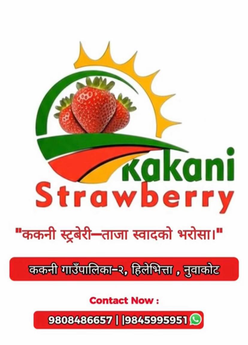 @kakani strawberry 🇳🇵🇳🇵