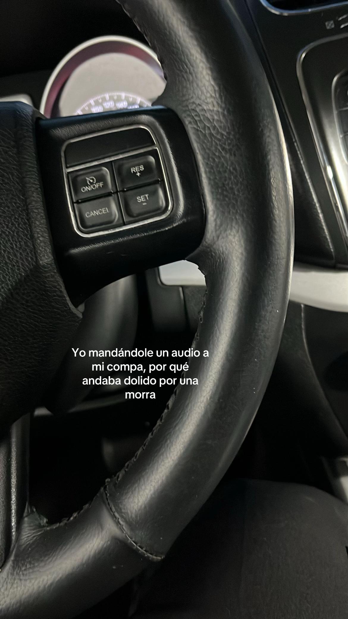 @Pollito_conpapasjaja