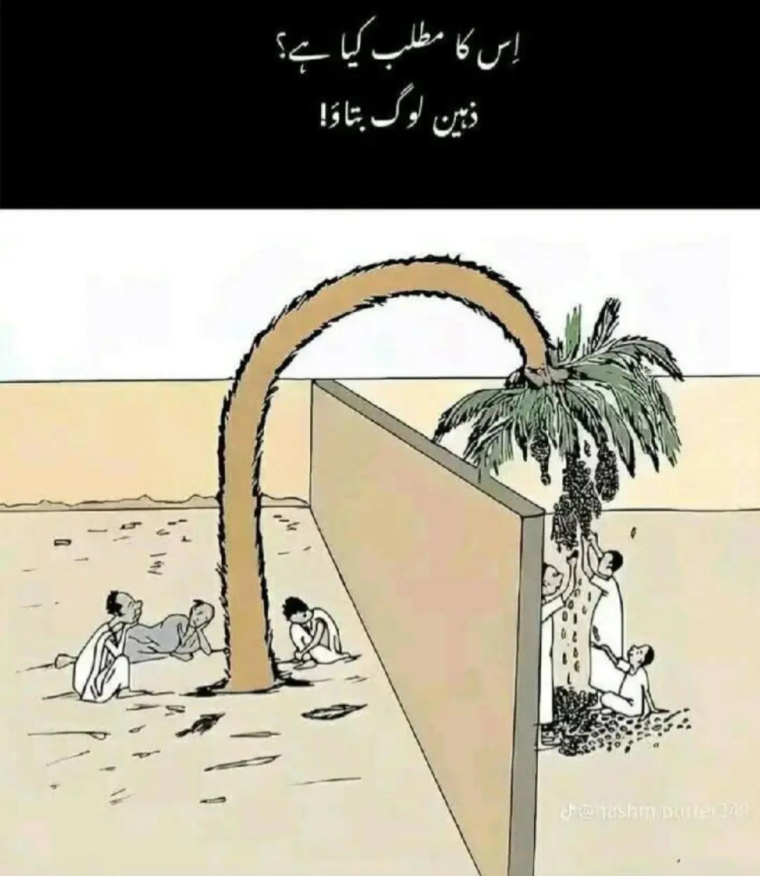 @میاں صاحب ❤️❤️