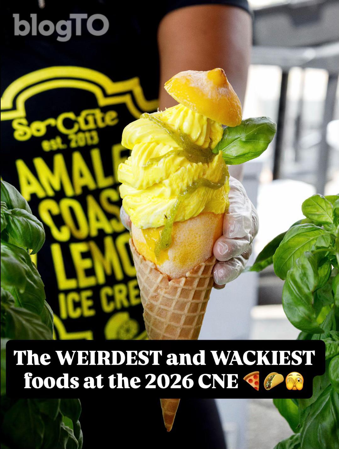 @blogTO