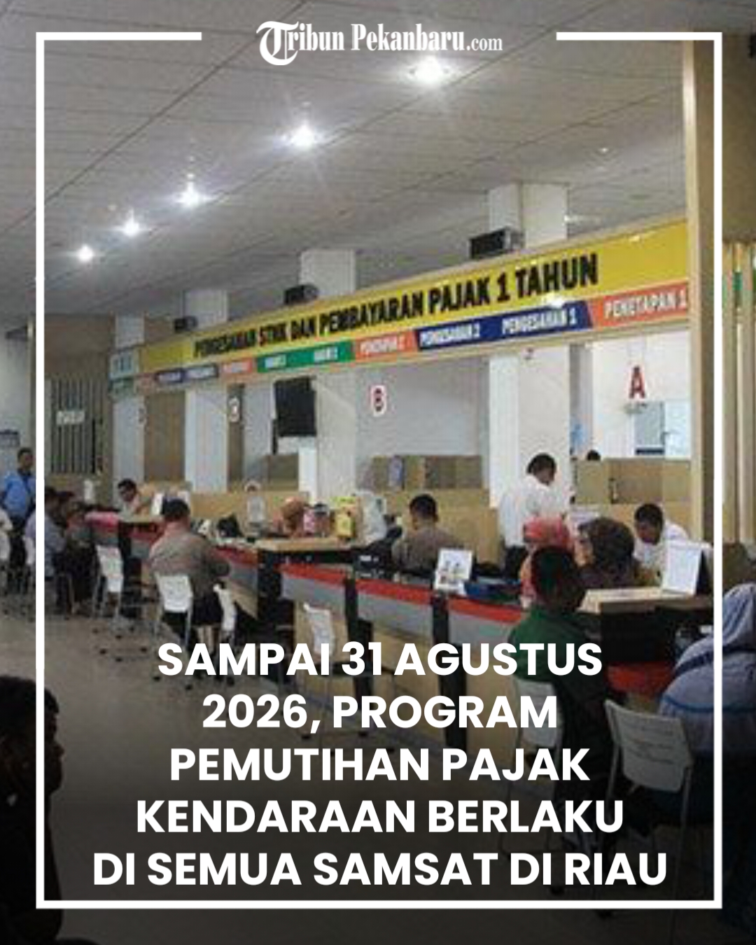 @Tribun Pekanbaru