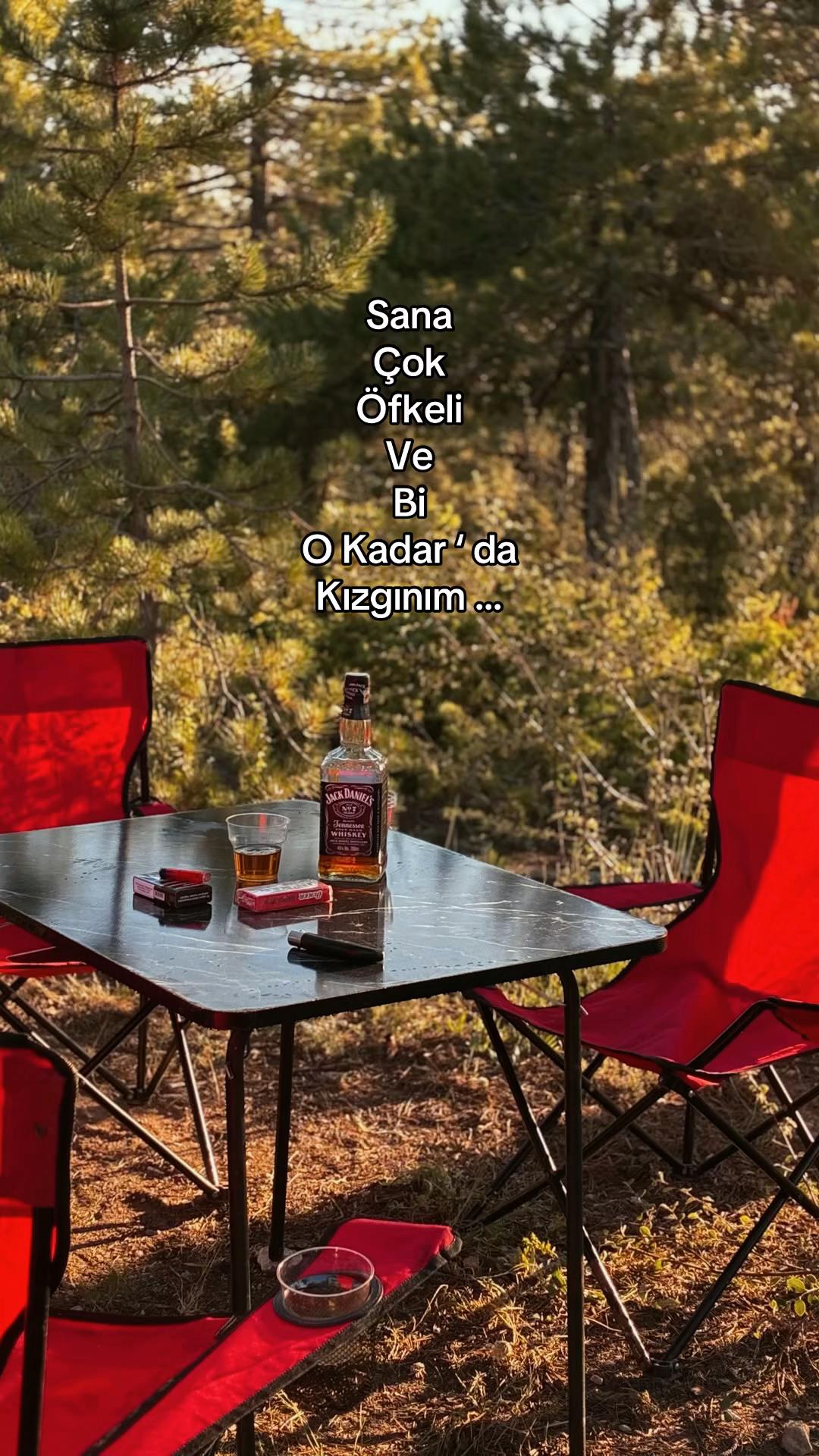 @Alkolsever (: