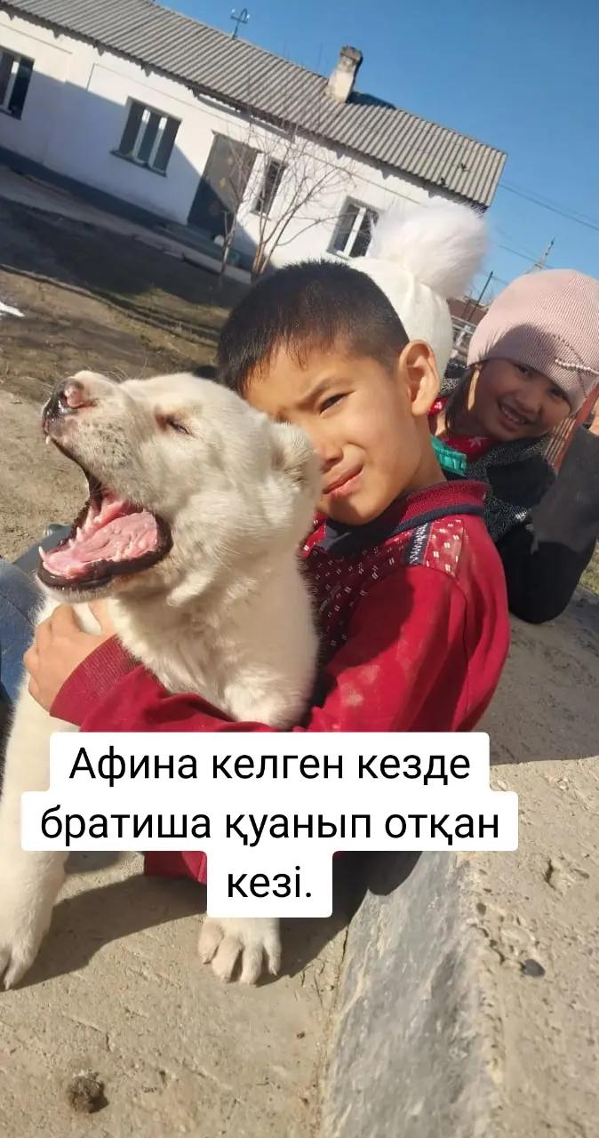 @🇰🇿✊𝔸𝕗𝕚𝕟𝕒 ✊🇰🇿