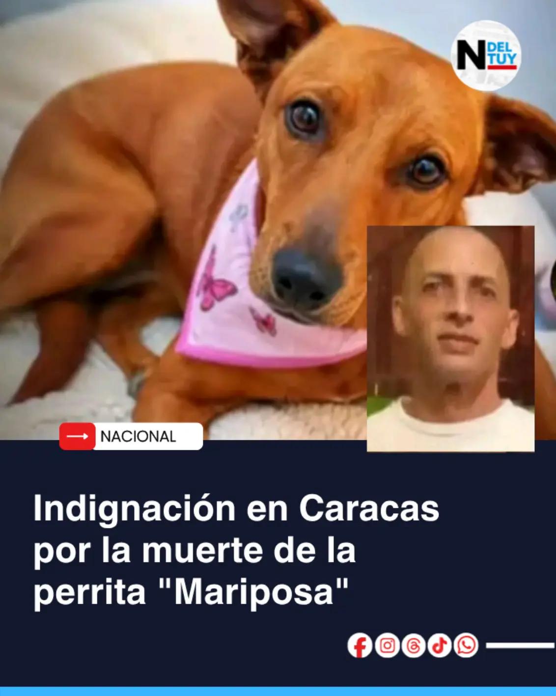 @Noticias del Tuy