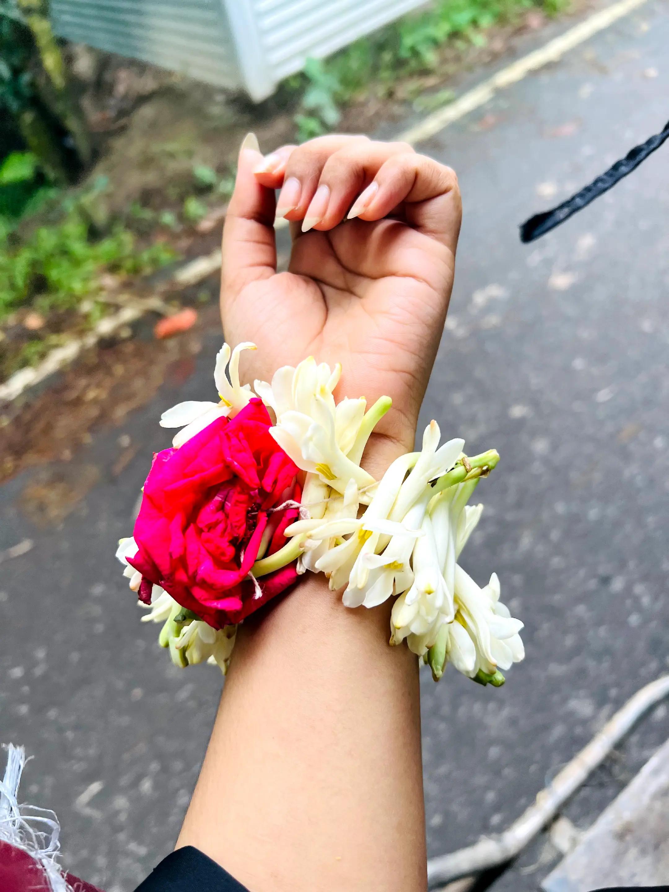 @SOHA:)!🕊️