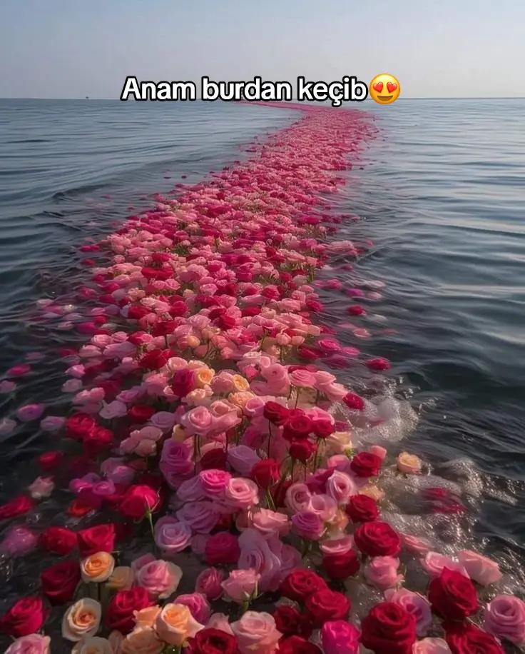 @ᴍᴇʟᴏᴅʏ.ᴍᴍ_🎶