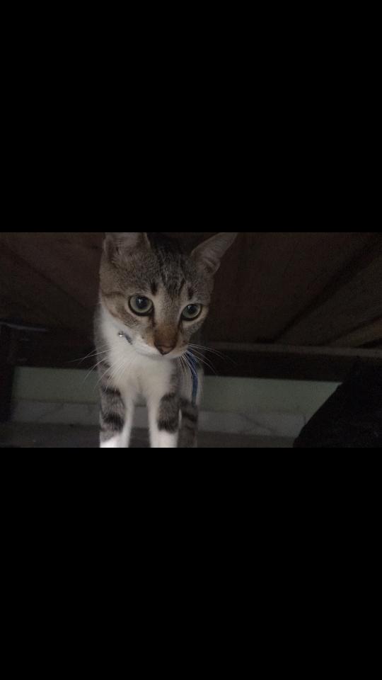 @𝐤𝐞𝐧𝐝𝐫𝐚 ✿