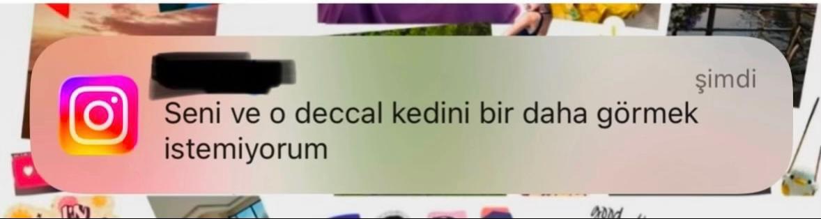 @user40852703343