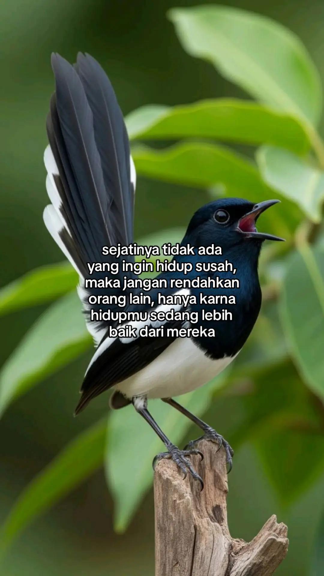 @wisnu23