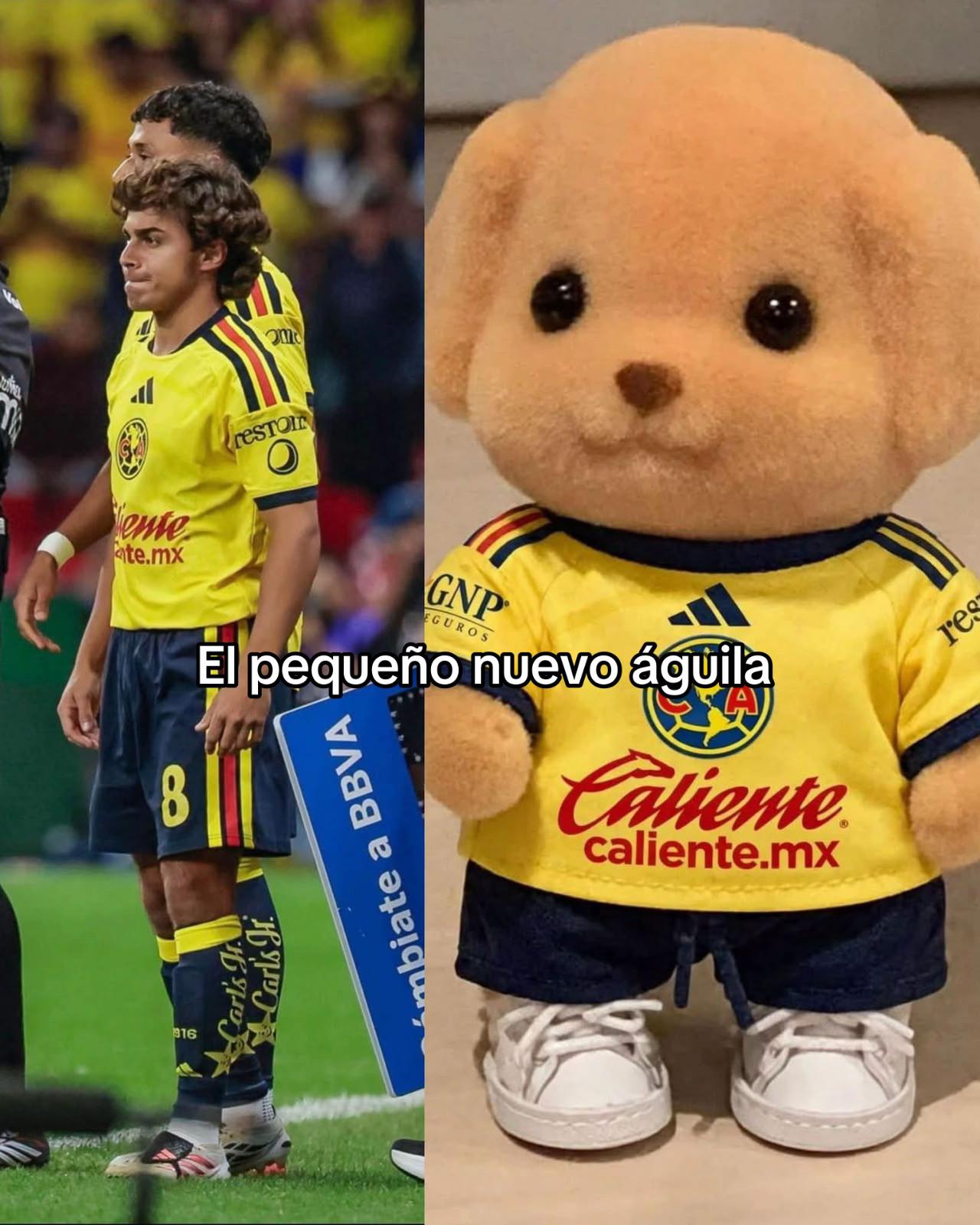 @Julio Torrentera