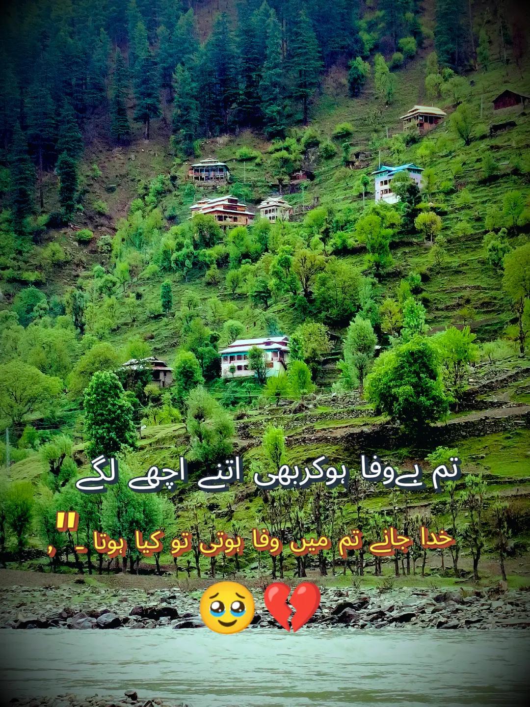 @kashmiri girl