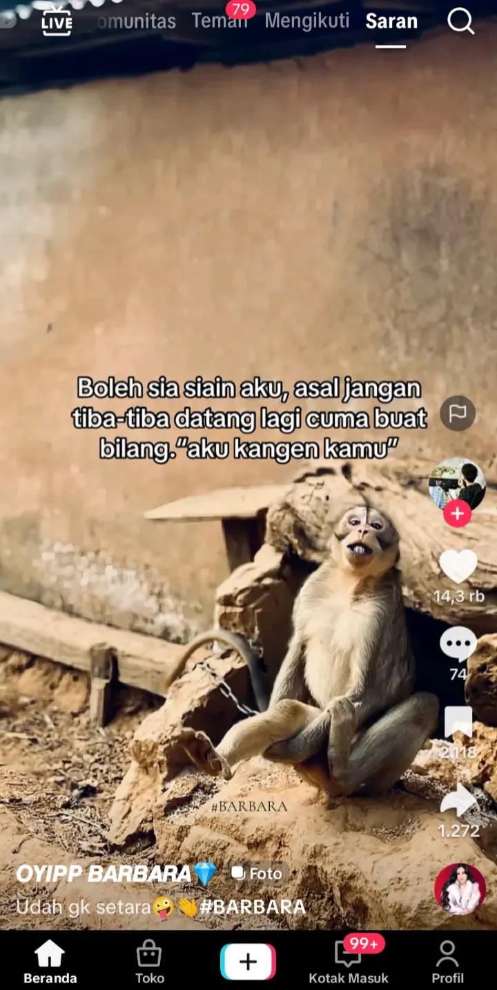 @Botolyakukesayangan