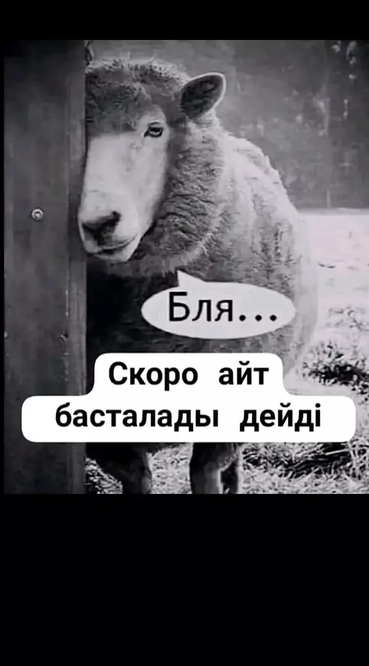 @Өмірде барлық жаксы болады