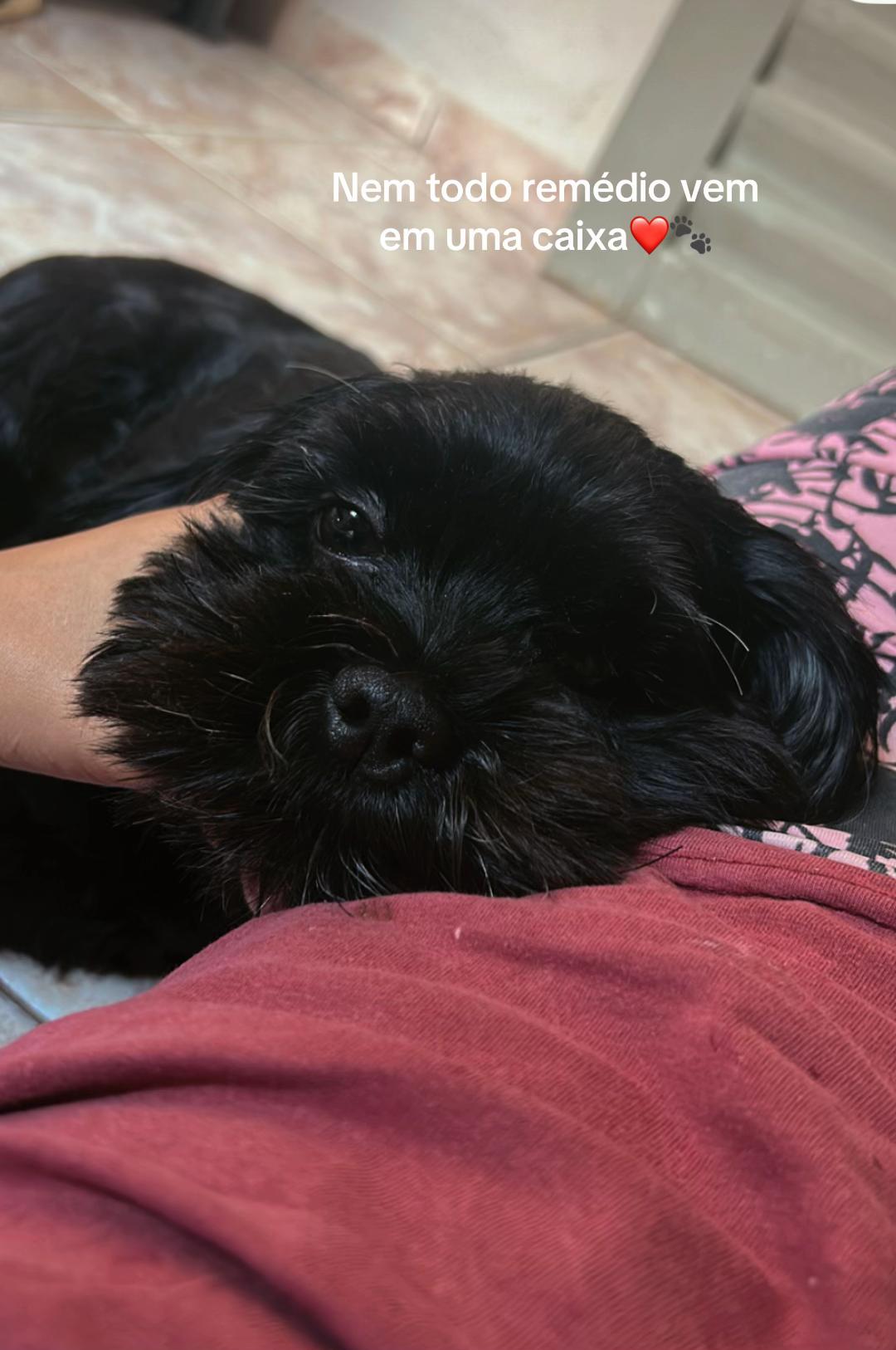@J&eacute;ssica Alves