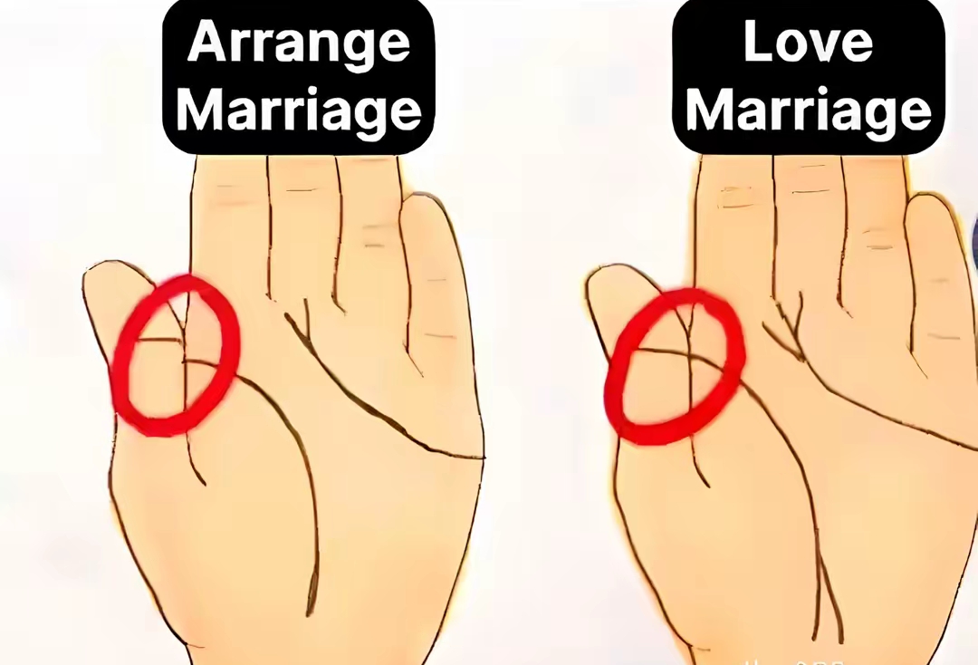 @no🥹love💔