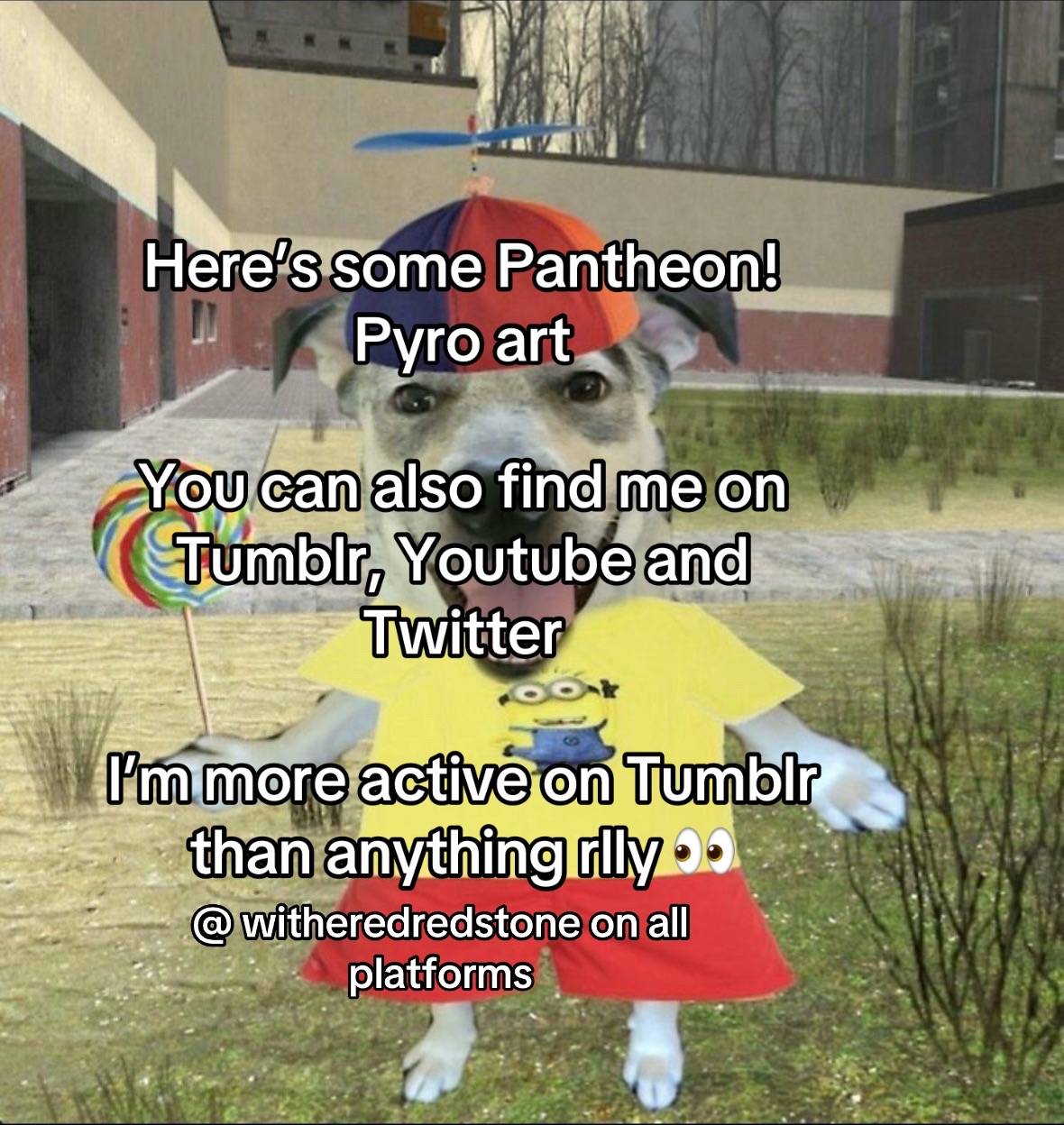 @⋆˚࿔ Witherbug ⭑.ᐟ