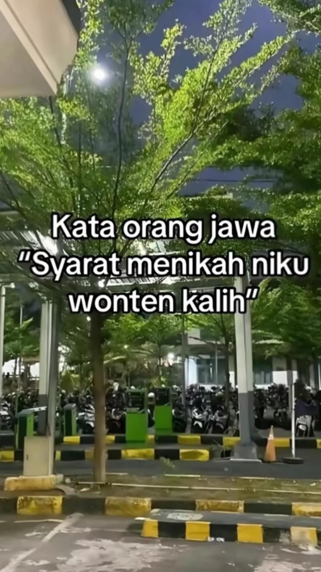 @alfi rosita