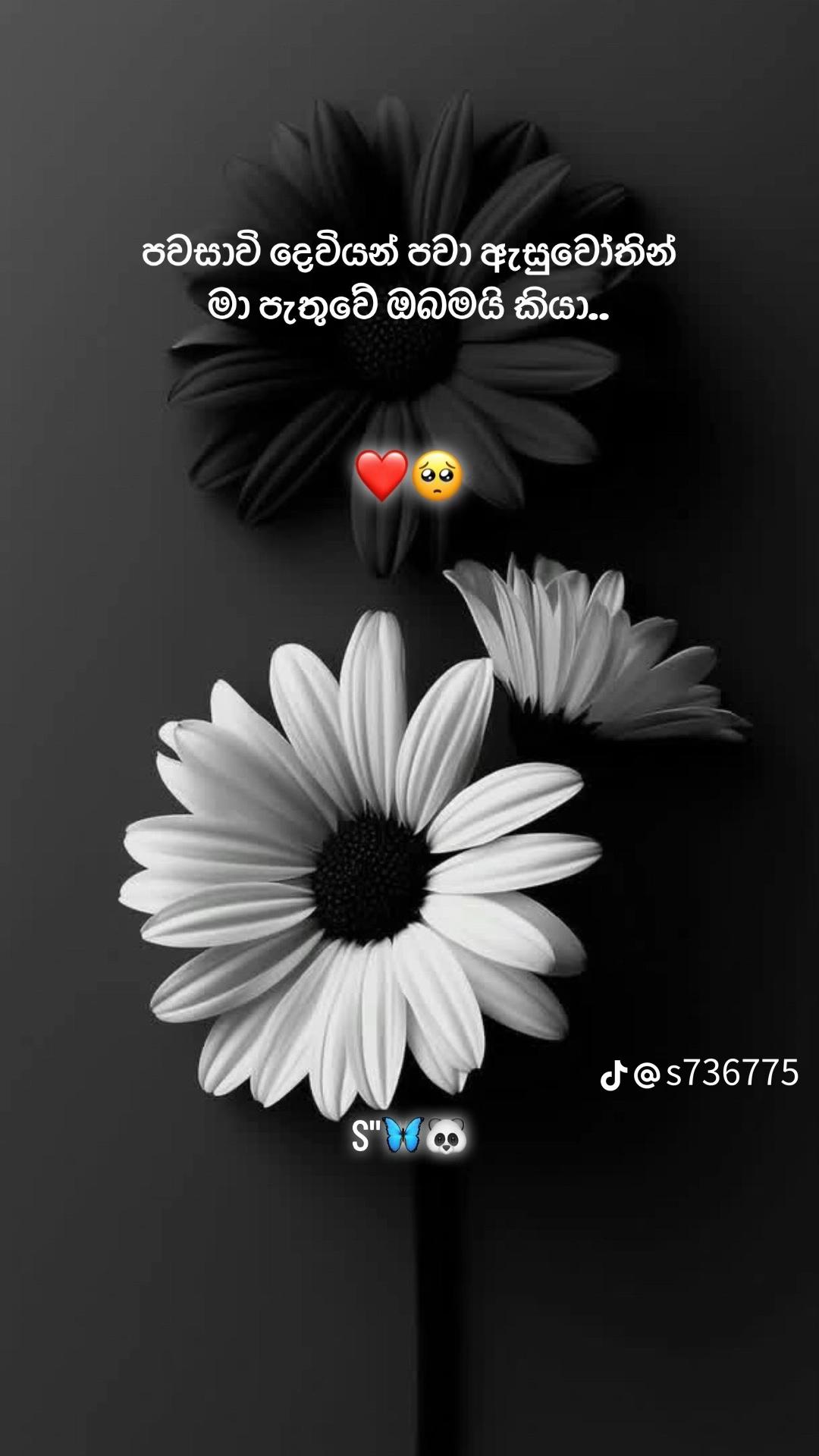 @🦋❤️💫 Queen කවිකාර ශලා 🦋❤️💫