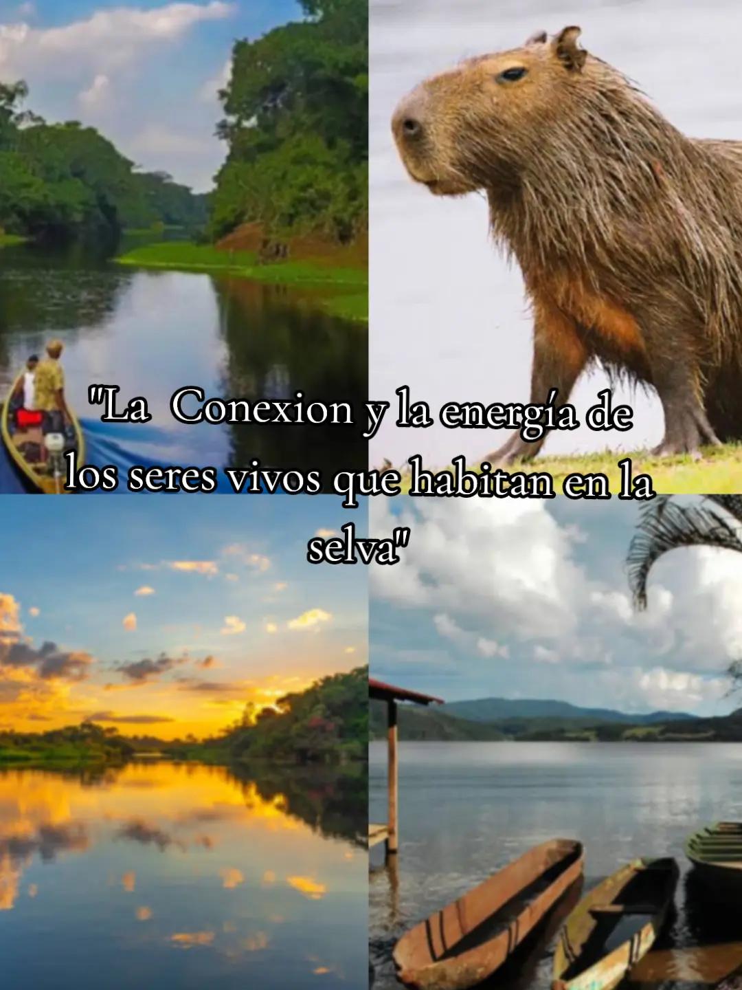 @ANGELA 🌊🧜🏻&zwj;♀️🤍🪽