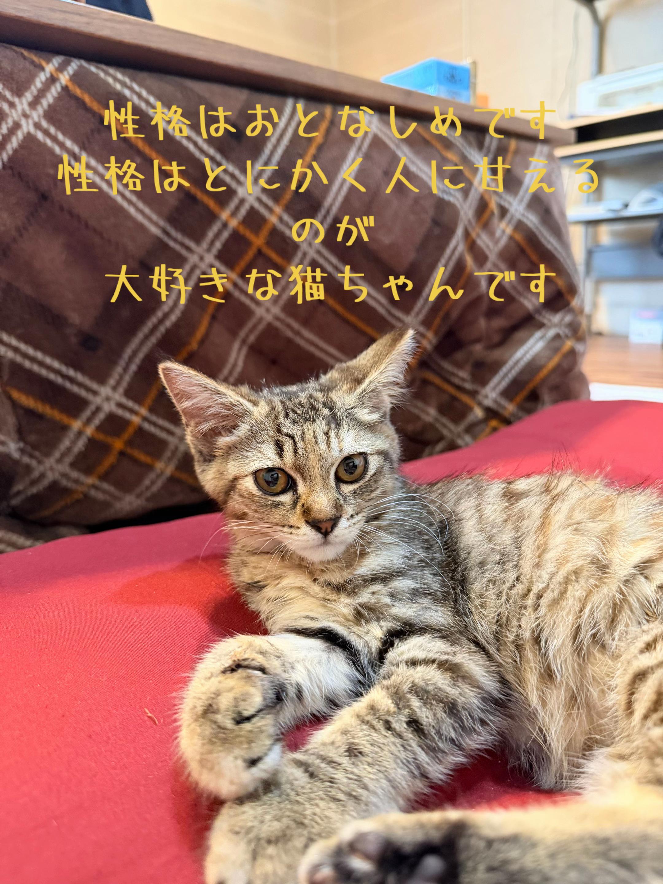 @ð¥é»æŸ€æ£å¿ð¥