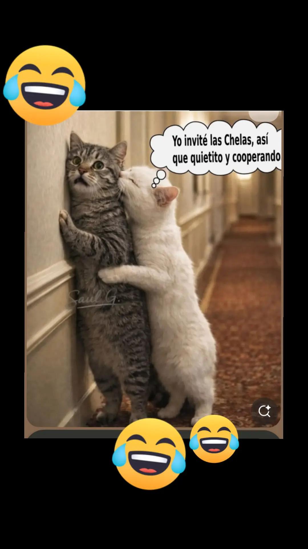 @Tiare E😃