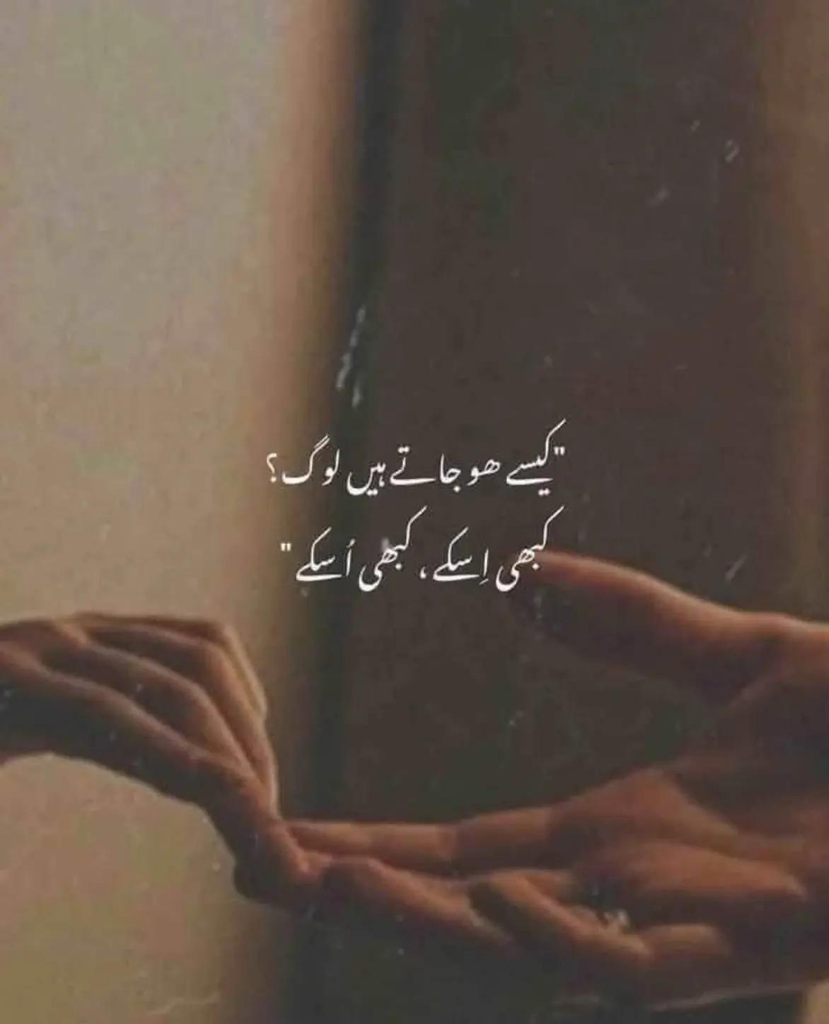 @noorfa15653297132