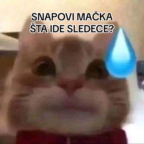 @Teo?¿