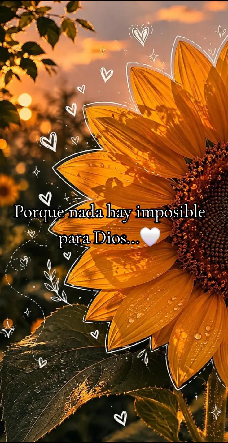 @❣️chaparrita❣️