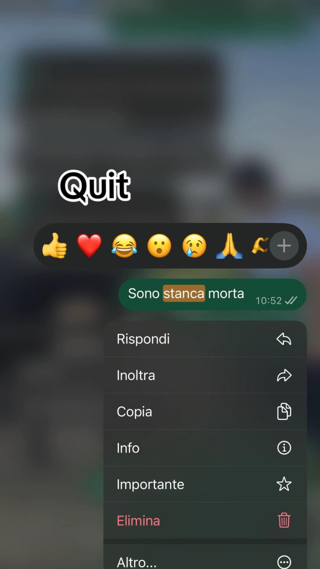 @aisha camerani