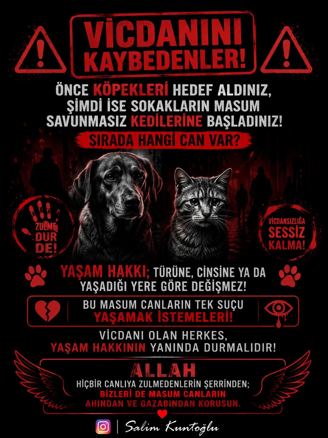 @Salim Kuntoğlu