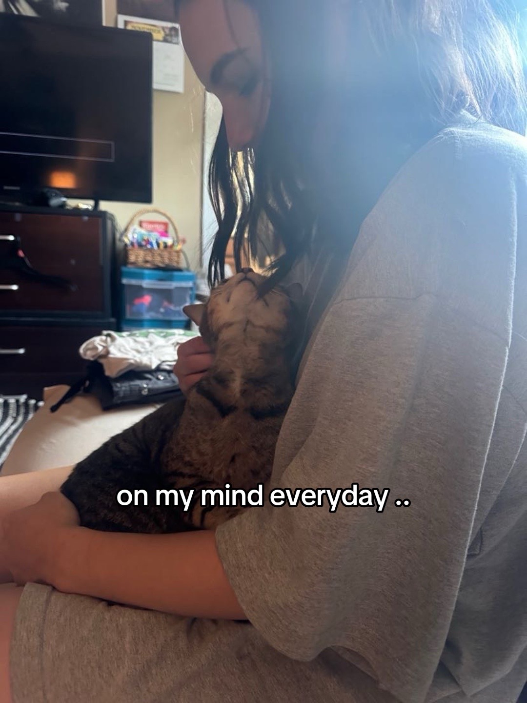 @kenz