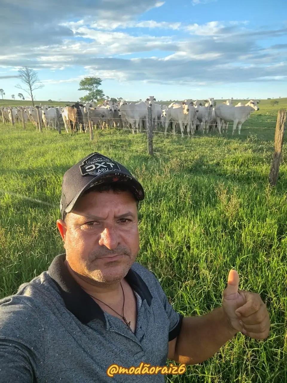 @Mod&atilde;o Raiz - Sertanejo 🎶