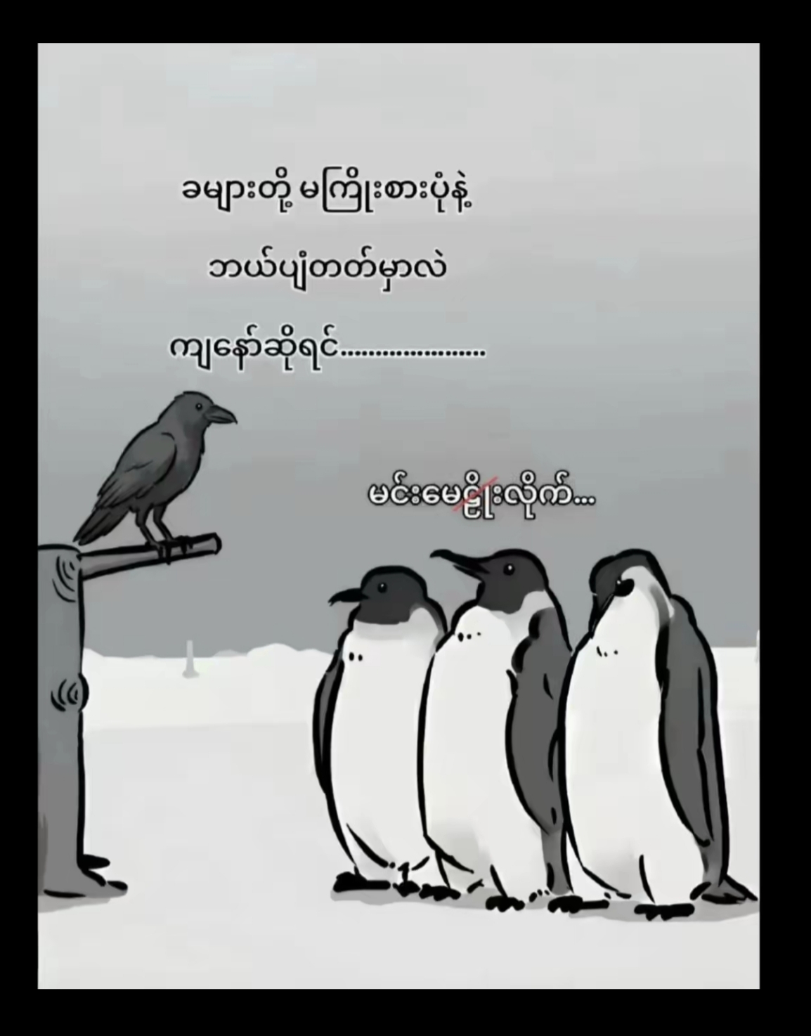 @Myo Minn Kyaw