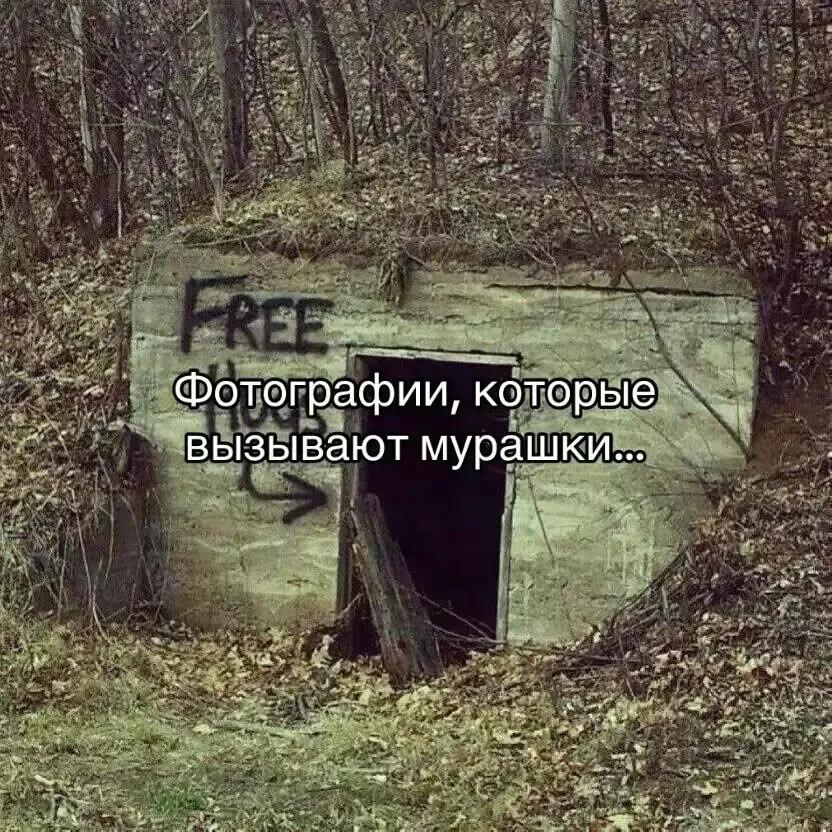 @Тайлер Дерден