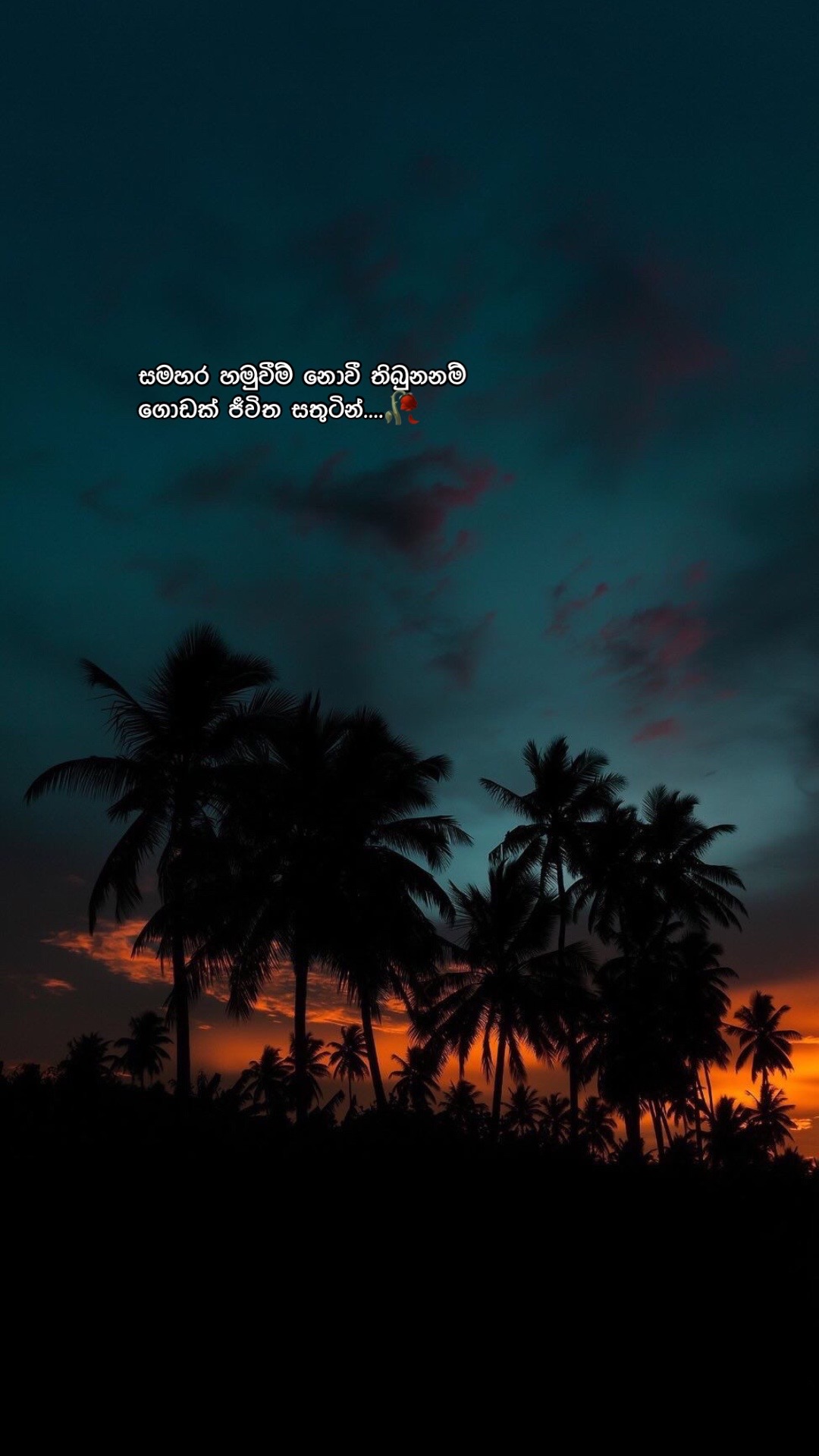 @Nethu Liyanage🌸