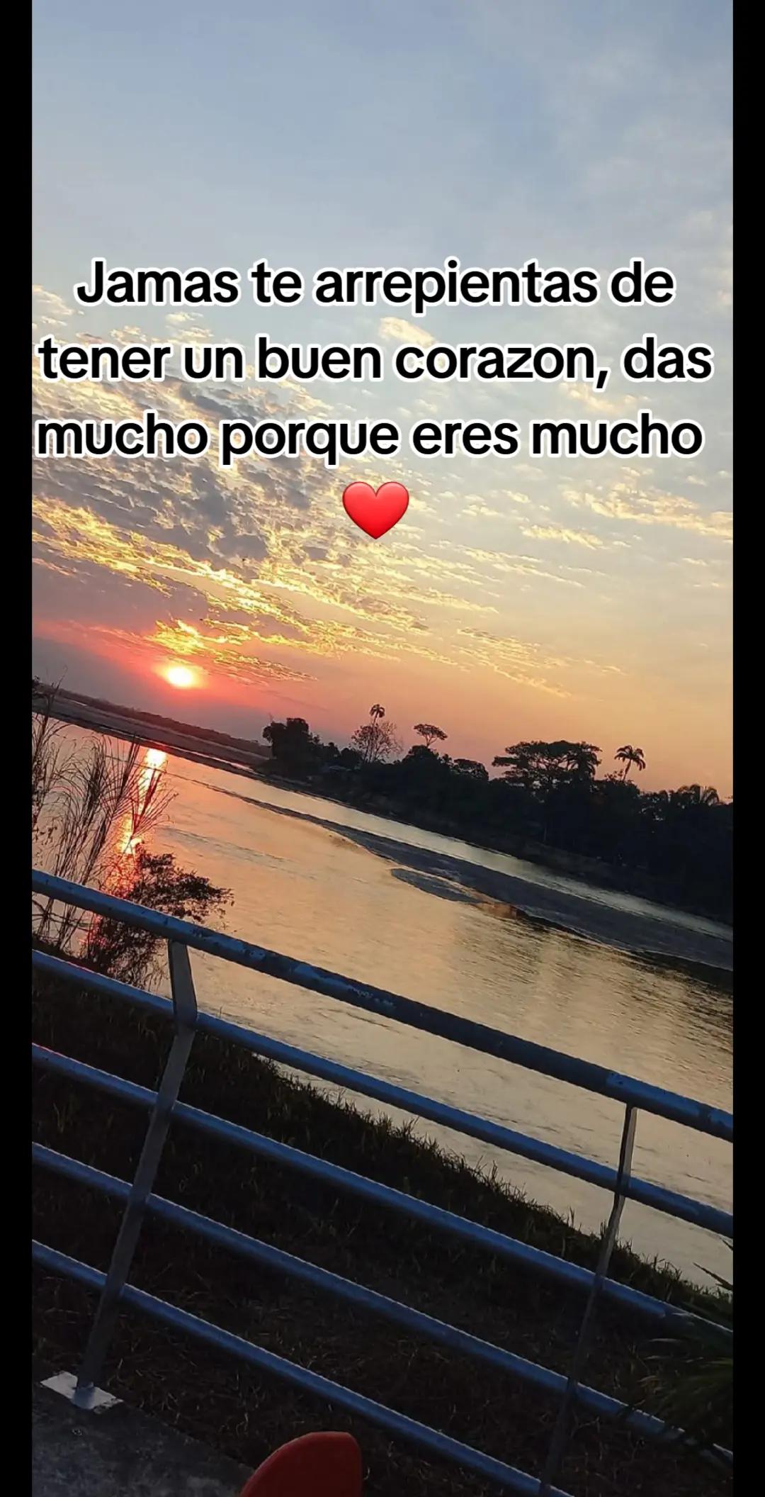 @Andreina Liendo 🌺