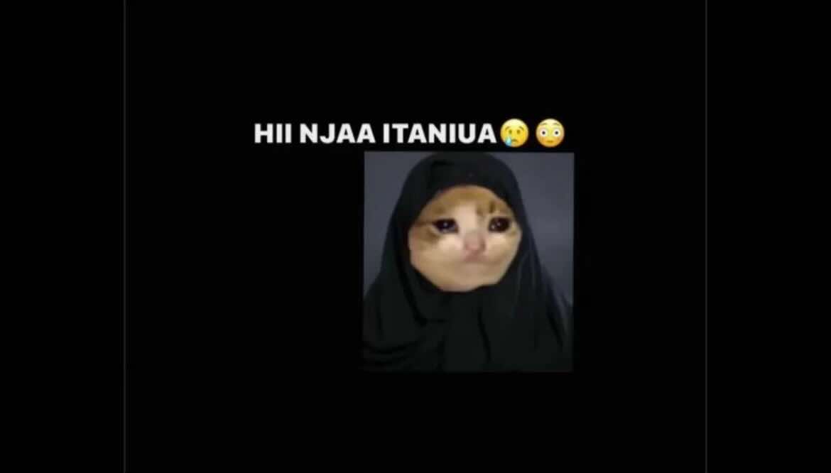@Meme tz