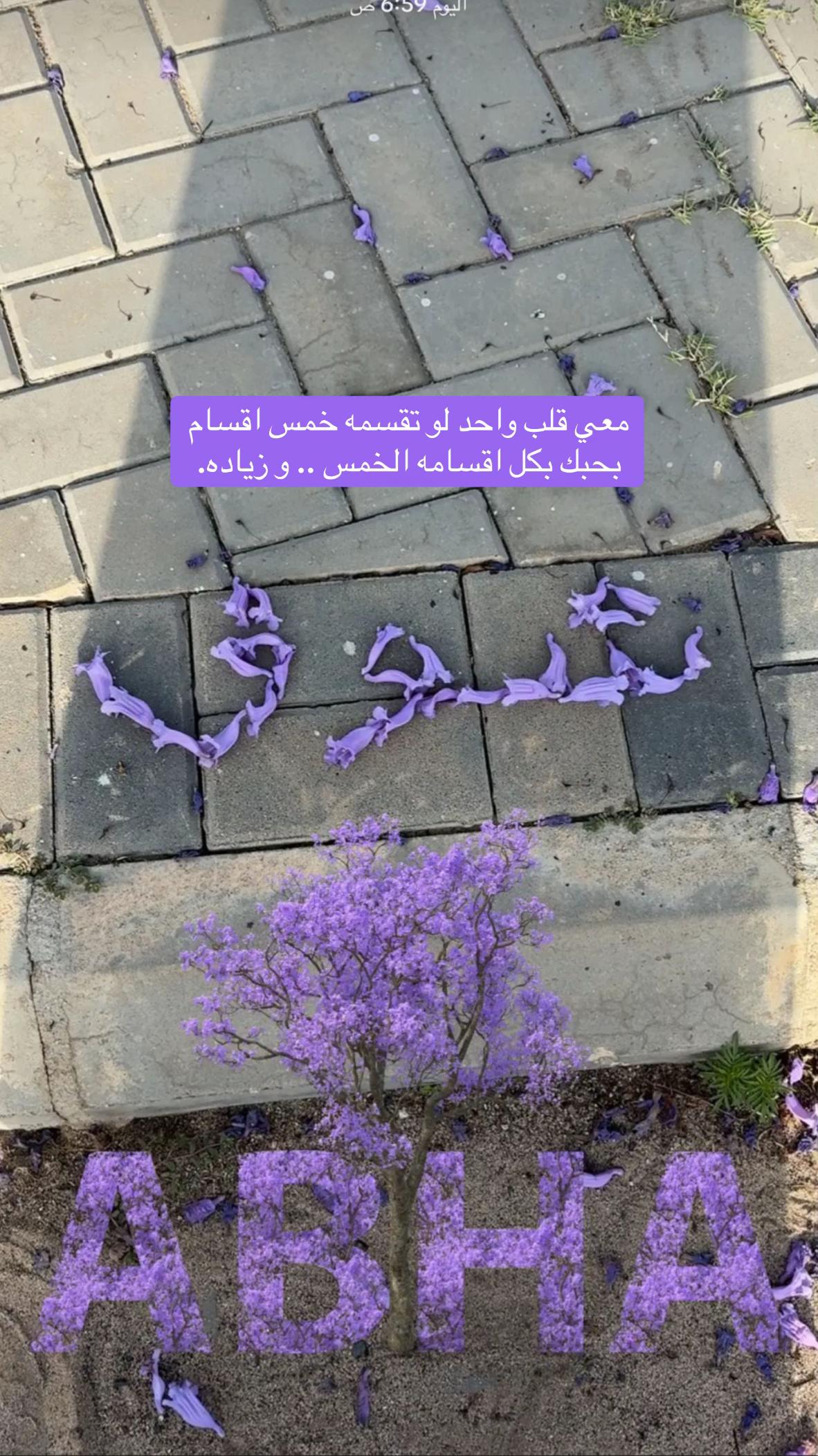 @شوق الشيباني 𓃴♡: