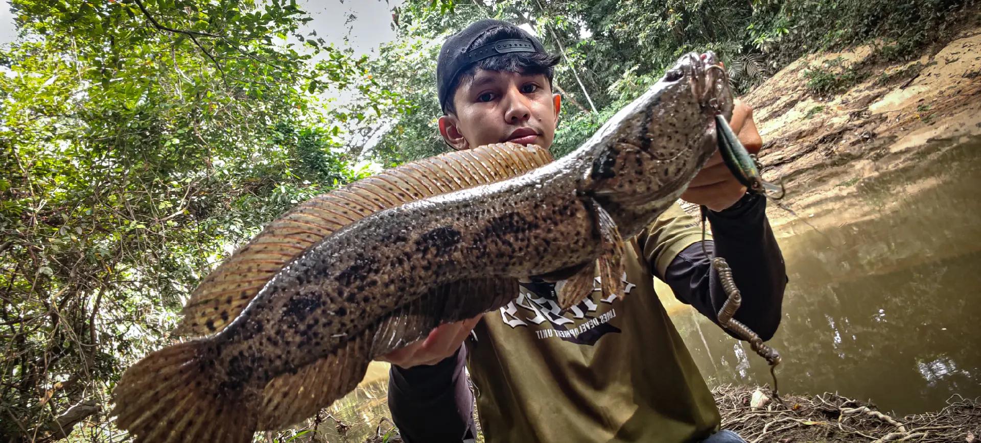 @Damz Strike Fishing