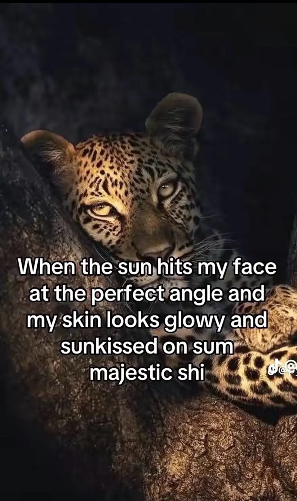 @priscilla <3