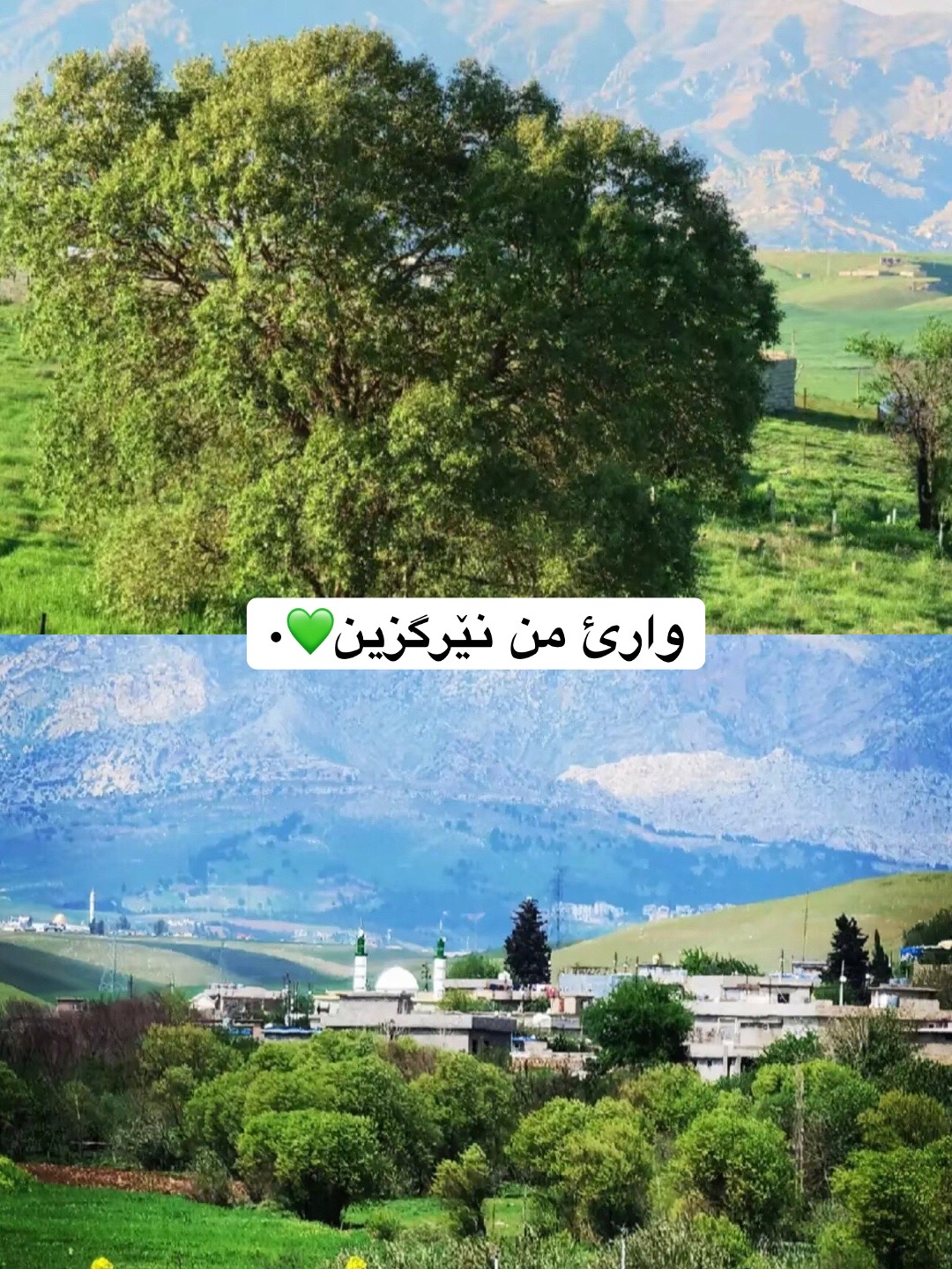 @ᗩᗪᗩᗰ 🖤 💙﴿