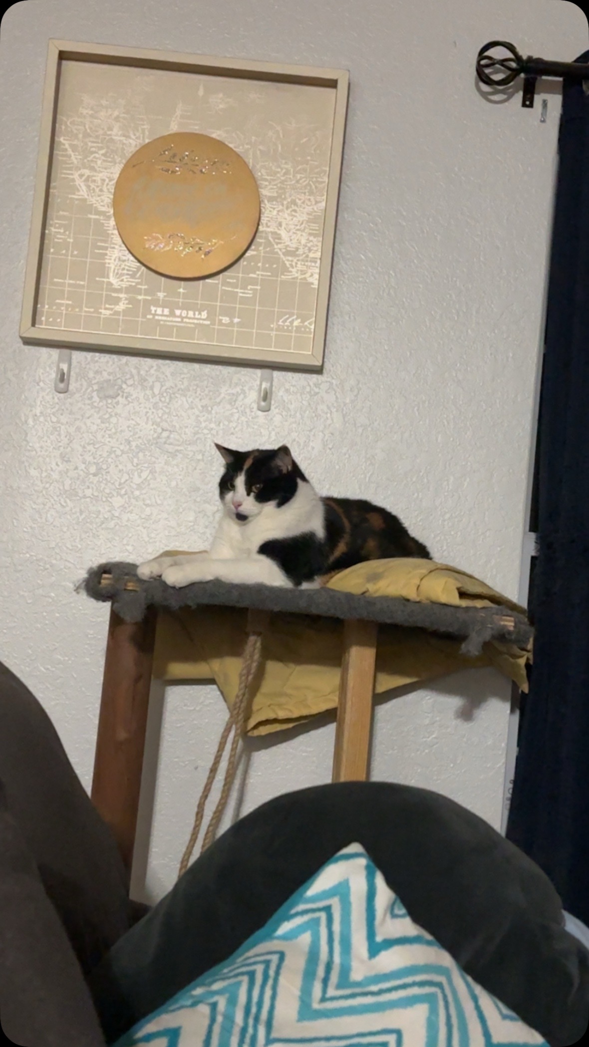 @Catmomming