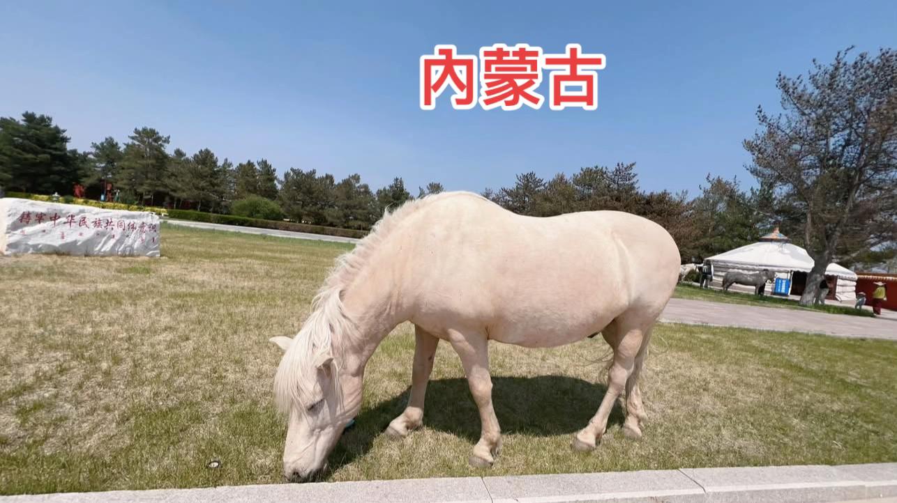 @樂觀活潑開朗的小艾