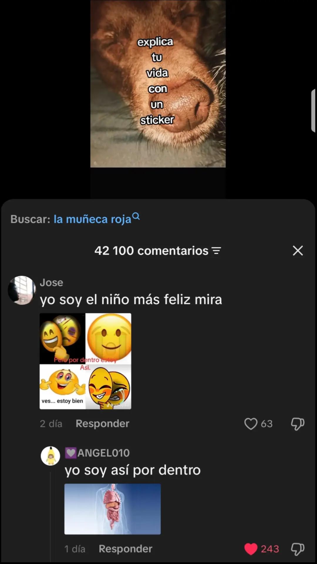 @🇻🇪 ELADAMSGMD🇻🇪