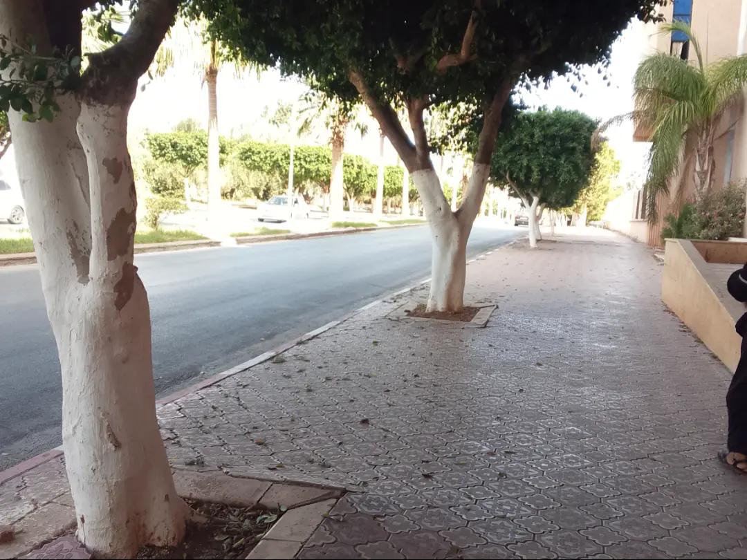 @Αμάλ❤️