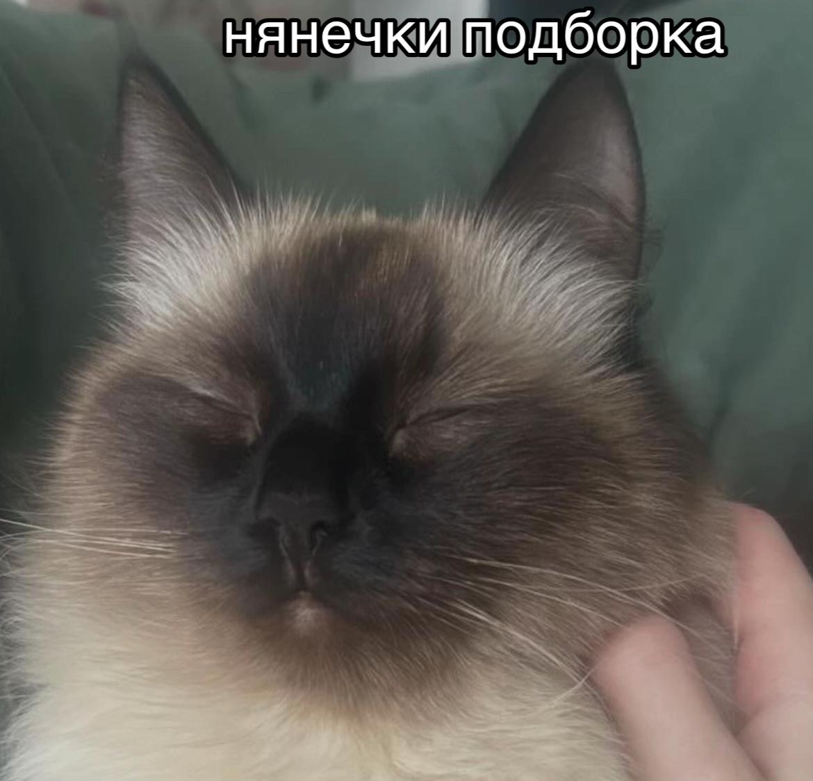 @ssqwty_