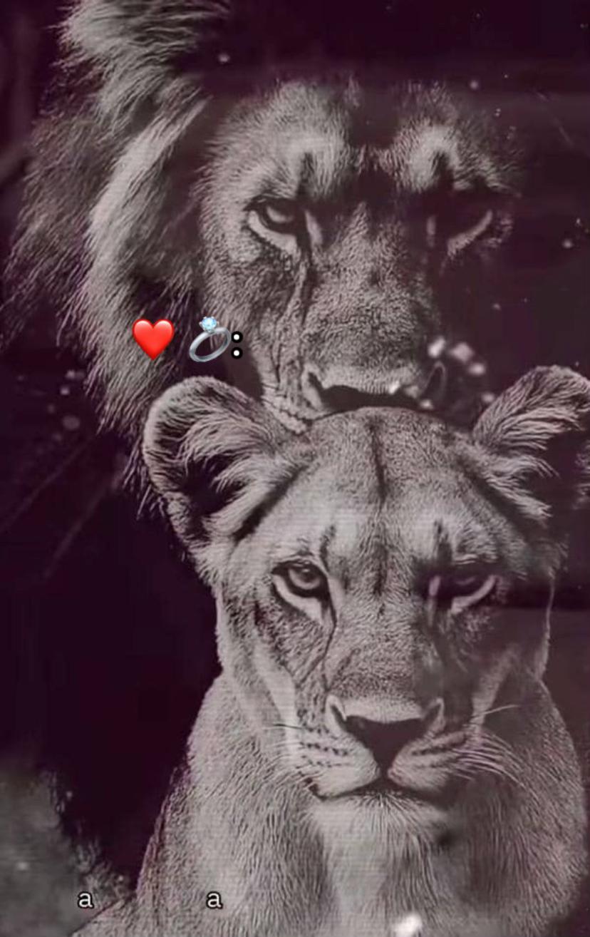 @Arwa al 2004๐ค๐ผ