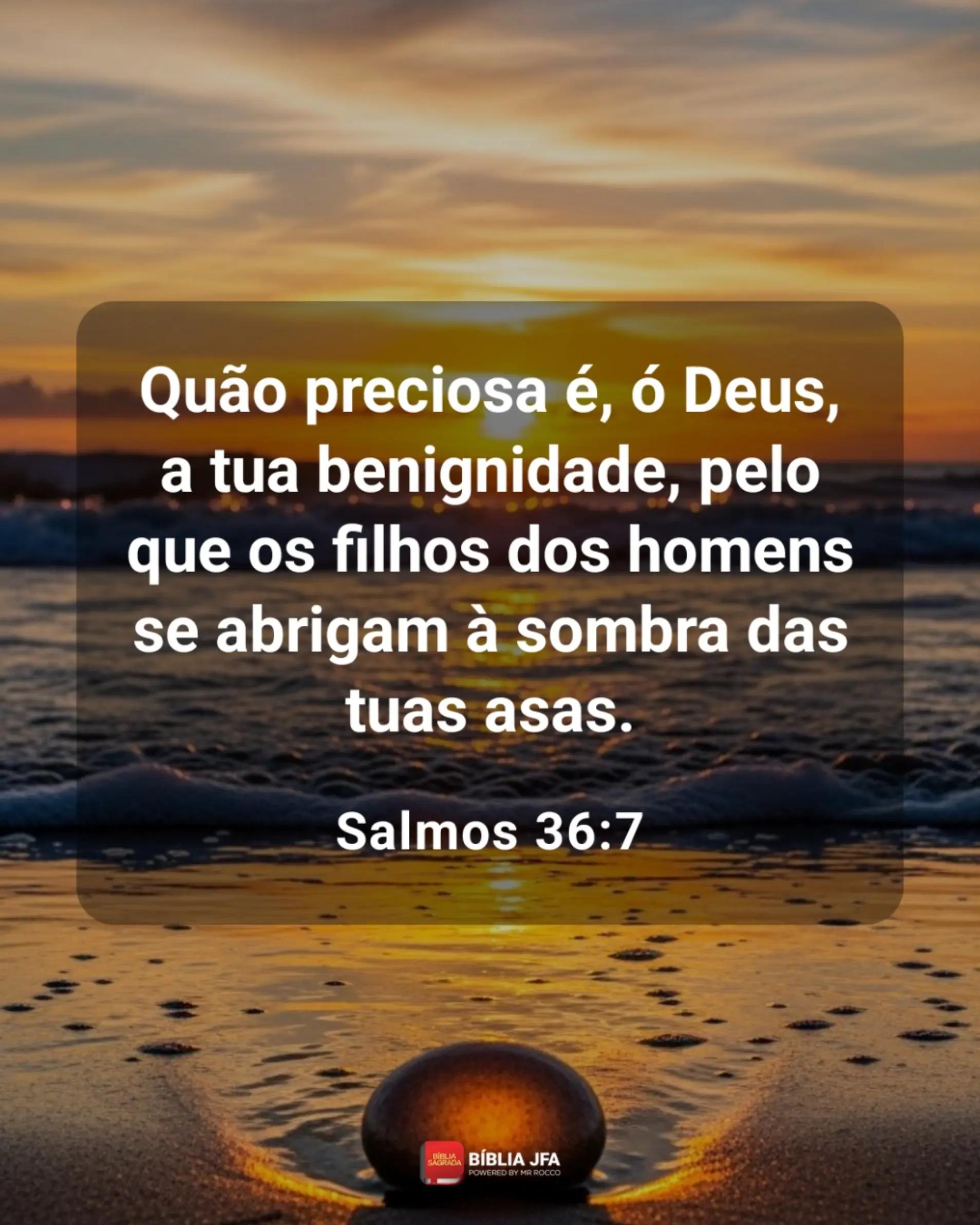 @Odair Chagas
