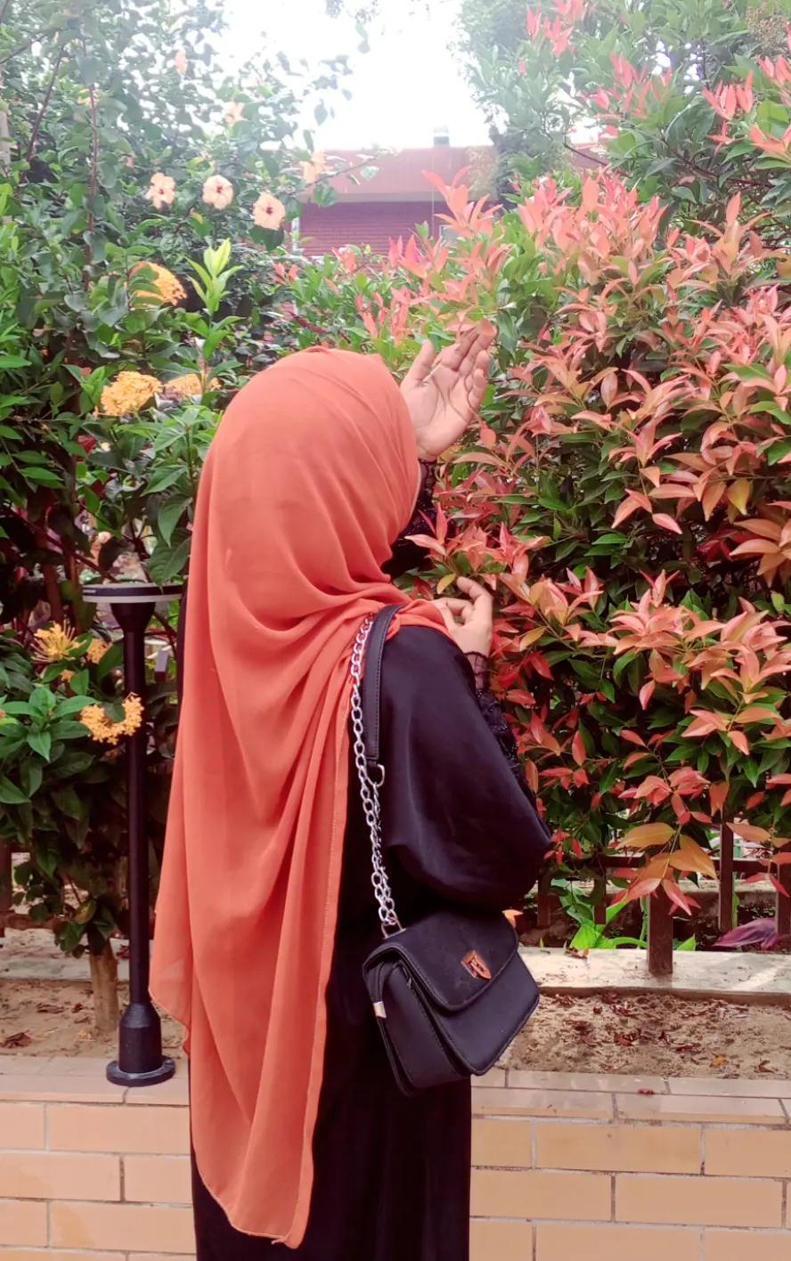 @🌸𝓣𝓸𝓢𝓲𝓑'𝓢  𝓠𝓾𝓮𝓔𝓝 ❤️